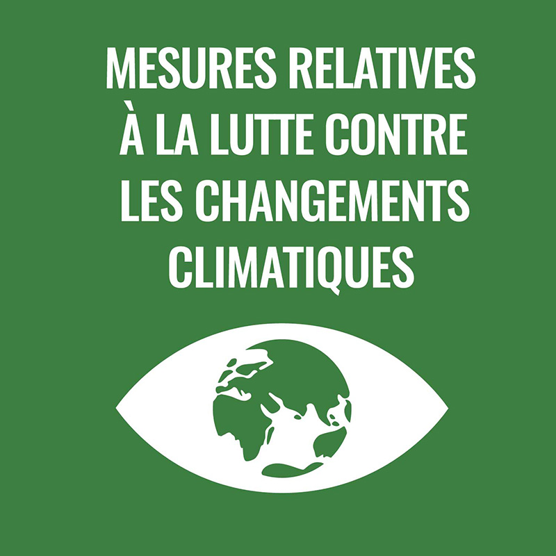 Lotta contro il cambiamento climatico