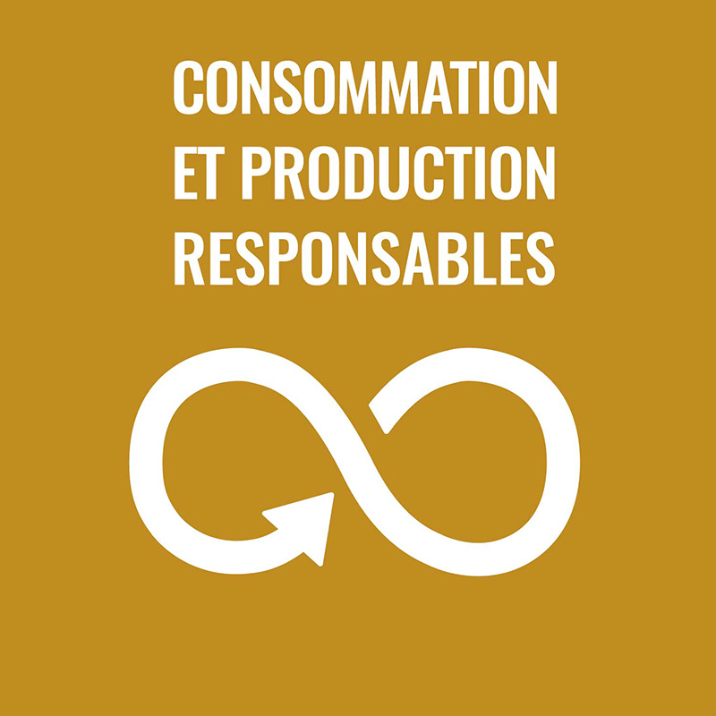 Consumo e produzione responsabili