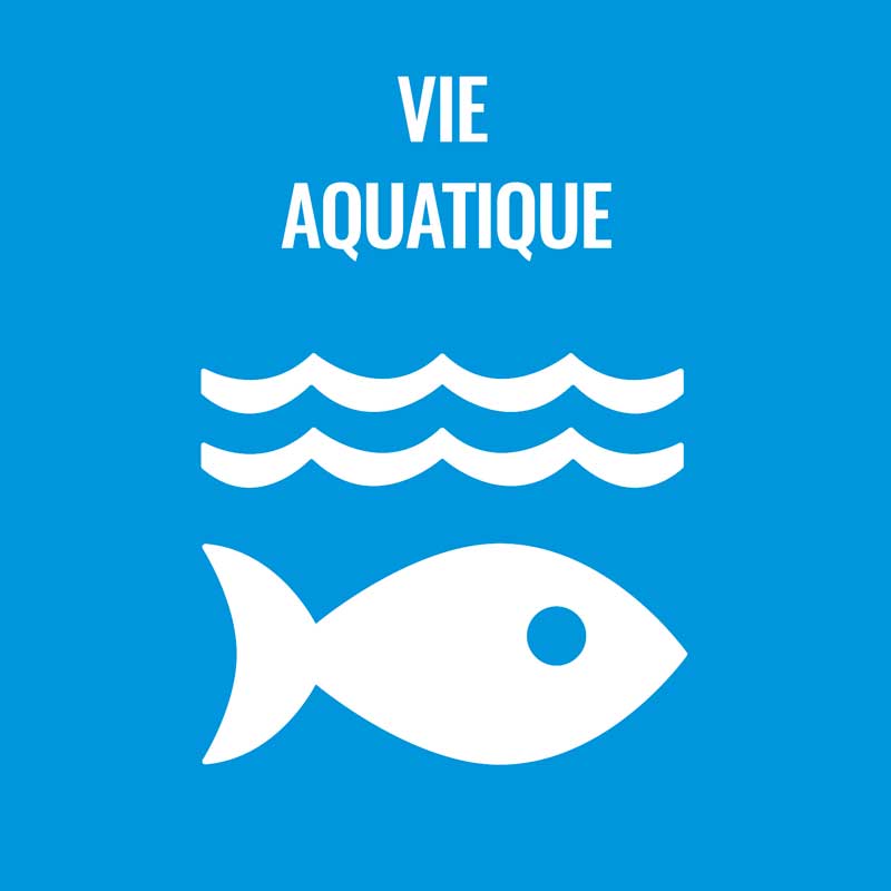 Tutela della vita acquatica